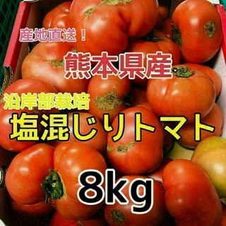 熊本県産 塩混じり トマト 約8kg(送料無料) クール便(野菜)