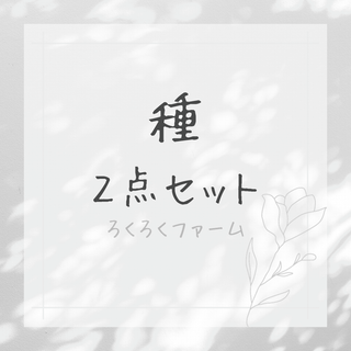 【種】おまとめ２点セット　おまとめ割(野菜)