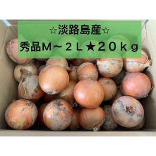 ★セール中★ 淡路島玉ねぎ　秀品　20kg 送料込み(野菜)