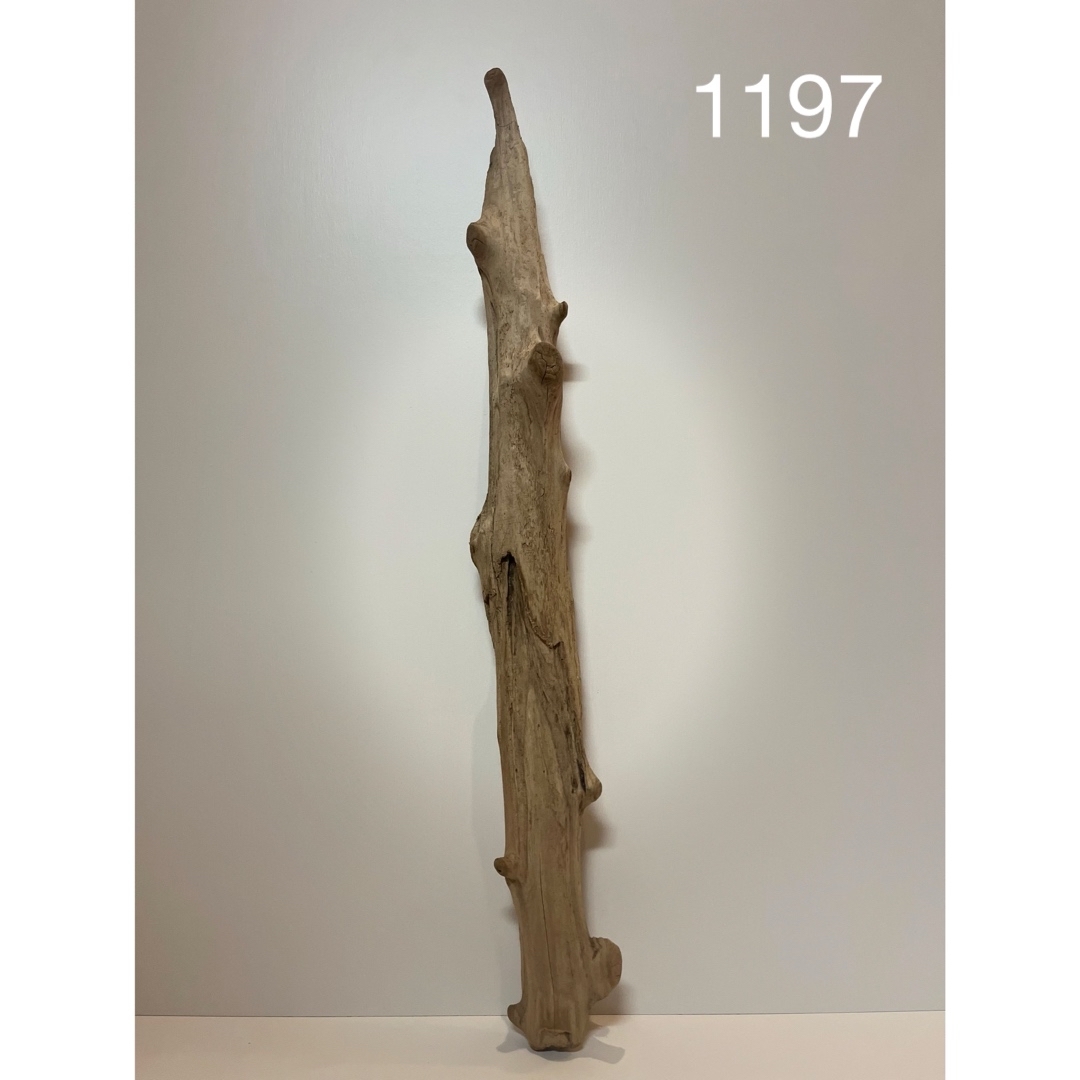 流木【1197】 ハンドメイドの素材/材料(各種パーツ)の商品写真