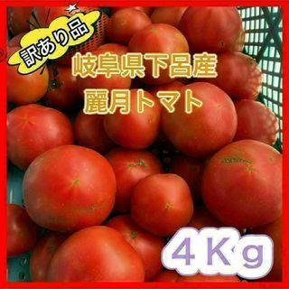 【規格外品】農家直送 大玉トマト 麗月 4Kg 訳あり 飛騨トマト