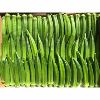 オクラ(野菜)
