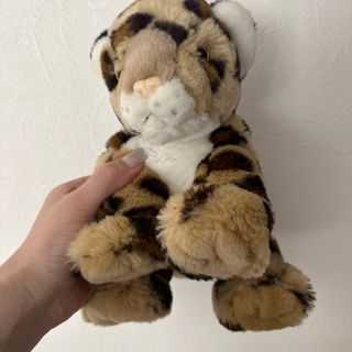 jaguarマスコット