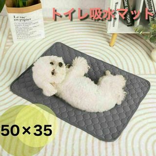 2枚セット 50×35 トイレシート 吸水マット繰り返し おむつ 洗える 犬猫(犬)