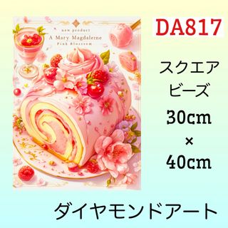 DA817☆ダイヤモンドアートキット☆ラズベリーロールケーキ(アート/写真)