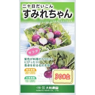 野菜の種【二十日大根】すみれちゃん(野菜)
