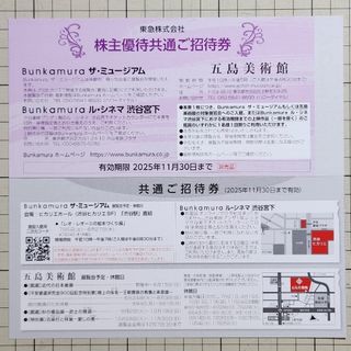 【２枚】Bunkamura・五島美術館 株主優待券(美術館/博物館)