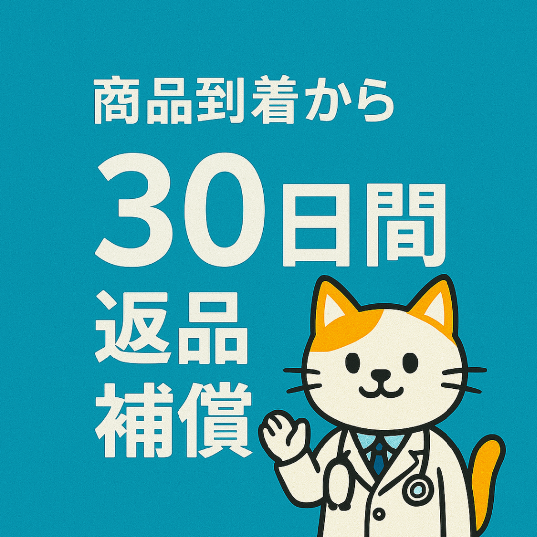 エヴァーラスティング / Every Little Thing (CD) エンタメ/ホビーのCD(ポップス/ロック(邦楽))の商品写真