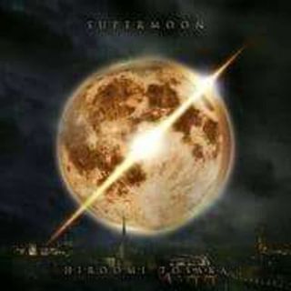 SUPERMOON / HIROOMI TOSAKA (CD)(ポップス/ロック(邦楽))