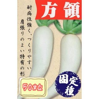 野菜の種【ダイコン】方領大根(野菜)