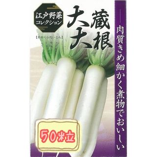 野菜の種【ダイコン】大蔵大根(野菜)