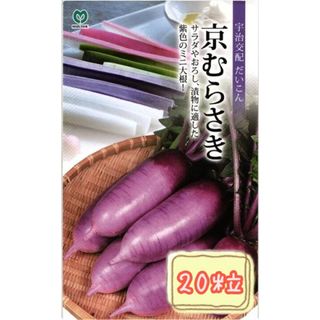 野菜の種【ミニダイコン】京むらさき(野菜)