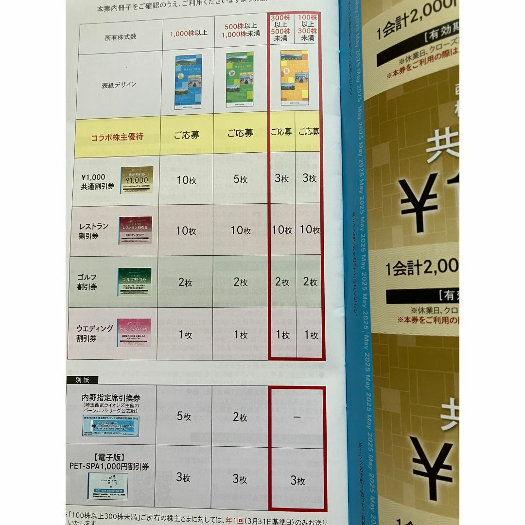 西武　株主優待　2名義分　送料無料 西武ホールディングス 株主優待券 100株分 匿名発送の通販 by