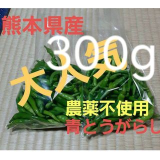 出品再開。お徳用!大人気！今が旬！熊本県産青唐辛子300g　大人気　辛い　安心