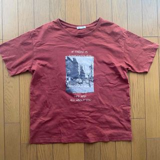 HONEYS - ハニーズ Tシャツ