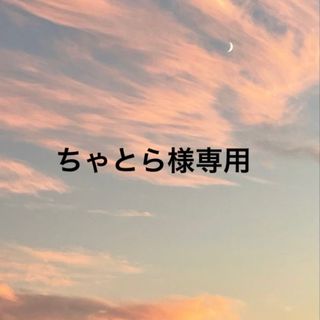 ちゃとら様専用(その他)