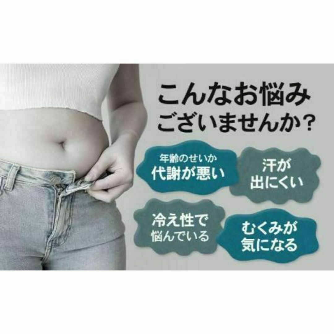 レディース　サウナスーツ　Ｌサイズ　上下セット（長袖＋長ズボン）全身発汗 レディースのレディース その他(その他)の商品写真