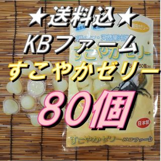 KBファーム製昆虫ゼリー　すこやかゼリー16g　80個(虫類)