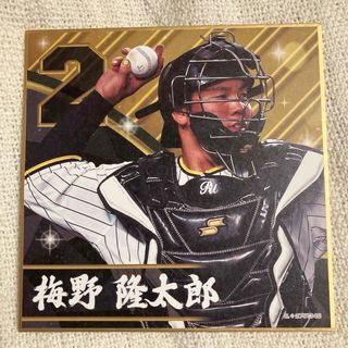 ハンシンタイガース(阪神タイガース)の阪神タイガース 色紙コレクション2 ガシャポン 梅野 隆太郎選手(スポーツ選手)