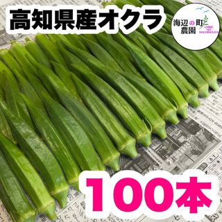 夏野菜【高知県産オクラ】A品＆B品 100本 おくら 野菜 産地直送！Mgj(野菜)