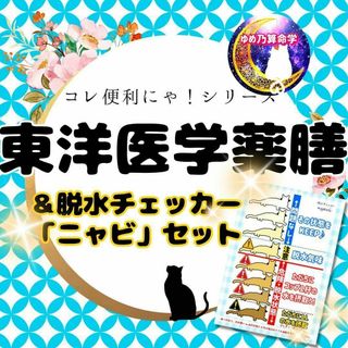 【￥400引】体調管理セット（東洋医学・薬膳基本表と脱水チェッカーセット））