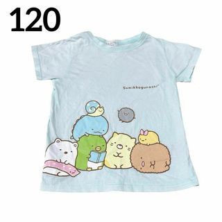 すみっこぐらし 半袖 Tシャツ しろくま とかげ にせつむり ねこ 水色 120