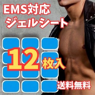 新品未使用！EMS対応 互換ジェルシート（高電導タイプ）(トレーニング用品)