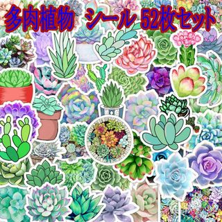 多肉植物　シール　52枚セット(シール)