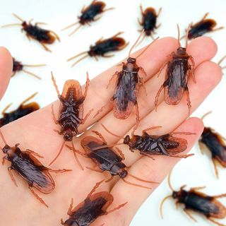 TOUFEIYUAN ゴキブリおもちゃ 偽ゴキブリ いたずら好きなフェイクゴキブ(その他)