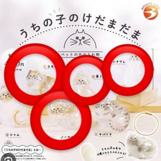 正規品　刻印あり　うちの子のけだまだま　4個セット
