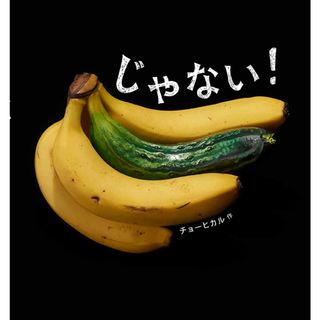 じゃない！ /フレ-ベル館/チョーヒカル
