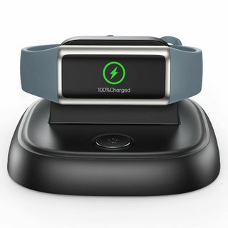 【人気商品】LVFAN Fitbit Charge 5/Luxe用 充電器 フィ