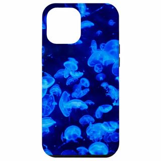【Model name:iPhone 15 Plus】iPhone 15 Plu