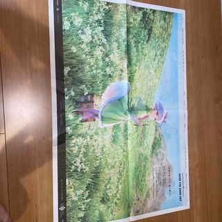 Fate 新聞（島根　山陰中央新報）