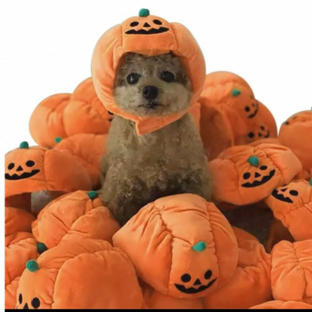 仮装 かぼちゃ帽子 ハロウィン 犬 猫 被り物 ペット服 コスプレ S その他のペット用品(犬)の商品写真