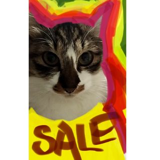 リール8点　まとめ売り　激安(リール)