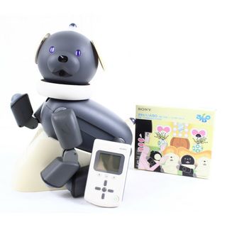 現状品 ソニー アイボ ERS-312B マカロン aibo 犬型 ロボット SONY ペット IT6Z8UTG7B1A-D-A15-byebye(その他)