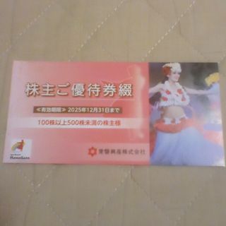 ハワイアンズ　株主優待(プール)