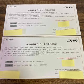 ワキタ　株主優待　60,000円
