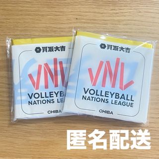 バレーボールネーションズリーグ2025 ２個