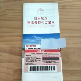 ジャル(ニホンコウクウ)(JAL(日本航空))のJAL 日本航空 株主優待 1枚(航空券)