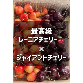 高級チェリー食べ比べセット　レーニアチェリー　アメリカンチェリー　さくらんぼ(フルーツ)