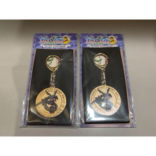 JR東日本ポケモンスタンプラリー2025 黒いレックウザ　スペシャルメダル×２