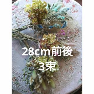 B ドライフラワー 28cm 5束