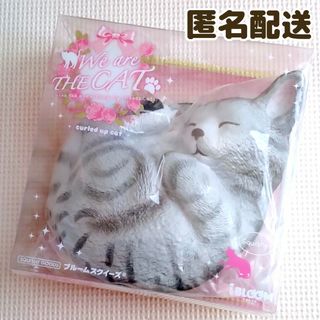 ブルーム(BLOOM)のBLOOM ブルーム スクイーズ♡ウィーアーザキャット まるネコ アッシュ♡猫(その他)