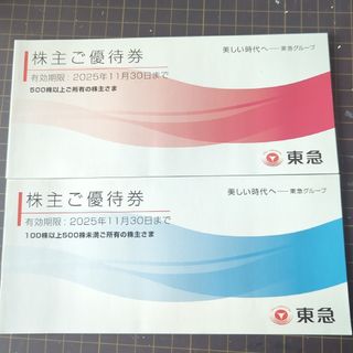 東急株主優待券2冊セット(その他)
