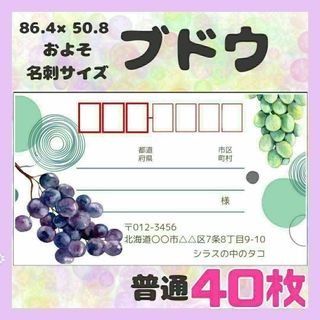 【ブドウ】宛名シール　差出人シール　普通サイズ　40枚　シンプル　フルーツ