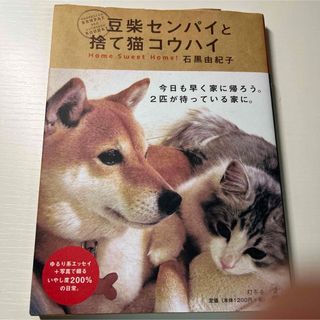 「豆柴センパイと捨て猫コウハイ」 石黒 由紀子