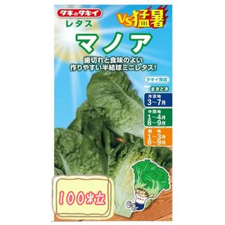 野菜の種【半結球レタス】マノア(野菜)