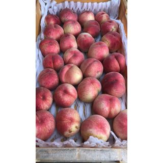 30.お買い得福島産 朝採り硬め桃箱込み2.8kg訳あり家庭用玉数お任せ常温便(フルーツ)